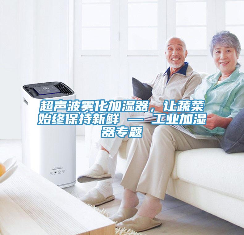 超聲波霧化加濕器，讓蔬菜始終保持新鮮 — 工業(yè)加濕器專題