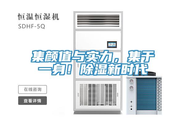 集顏值與實(shí)力，集于一身！除濕新時(shí)代