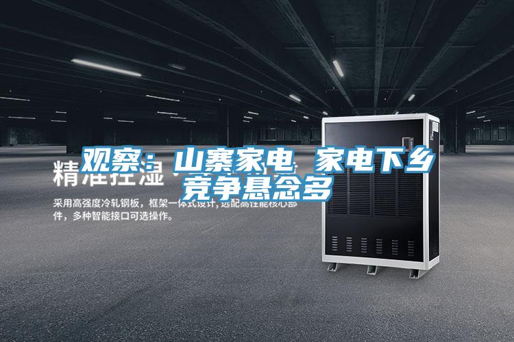 觀察：山寨家電 家電下鄉(xiāng)競爭懸念多