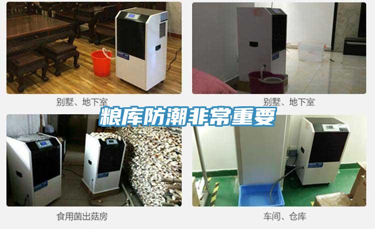 糧庫(kù)防潮非常重要