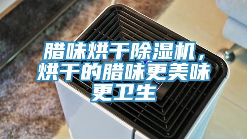 臘味烘干除濕機(jī)，烘干的臘味更美味更衛(wèi)生