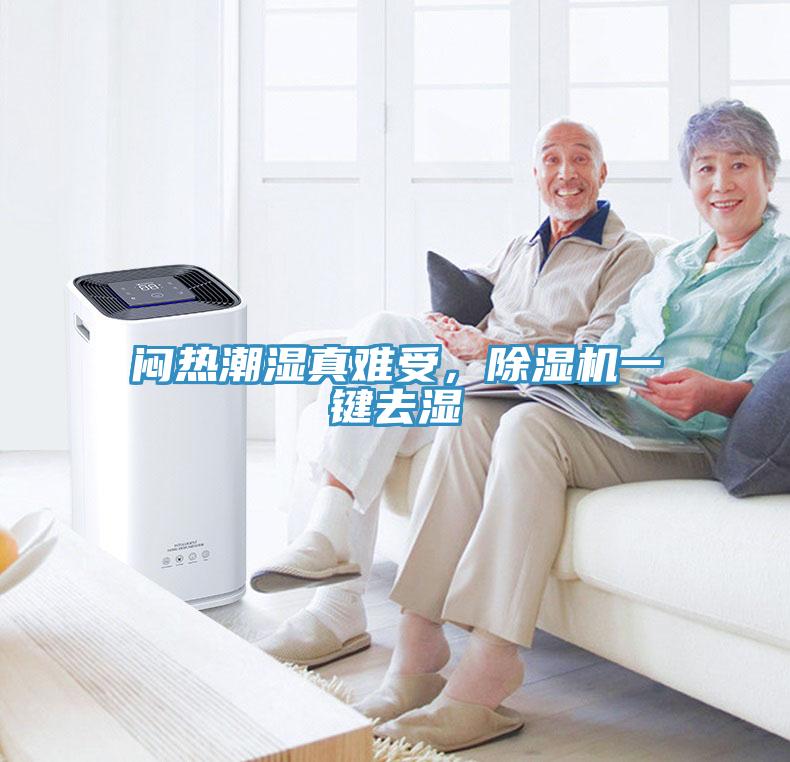 悶熱潮濕真難受，除濕機(jī)一鍵去濕