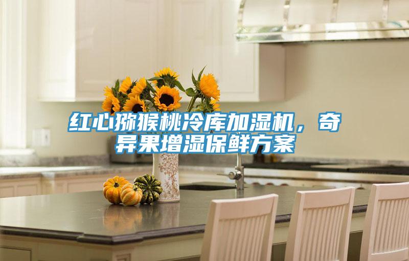 紅心獼猴桃冷庫加濕機，奇異果增濕保鮮方案