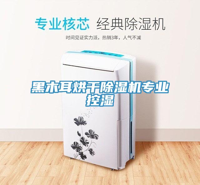 黑木耳烘干除濕機(jī)專(zhuān)業(yè)控濕