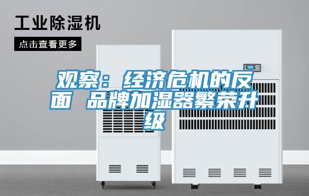 觀察：經(jīng)濟(jì)危機(jī)的反面 品牌加濕器繁榮升級(jí)