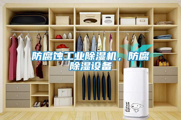防腐蝕工業(yè)除濕機(jī)，防腐除濕設(shè)備