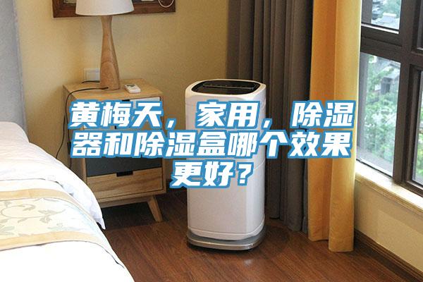黃梅天，家用，除濕器和除濕盒哪個效果更好？