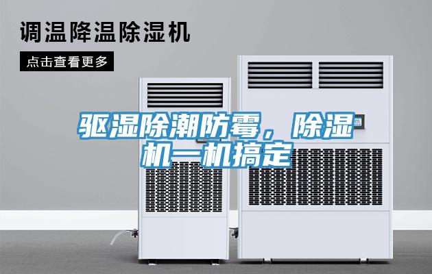 驅(qū)濕除潮防霉，除濕機一機搞定