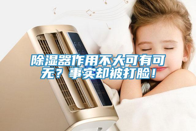 除濕器作用不大可有可無？事實卻被打臉！