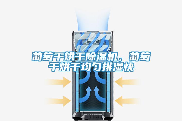 葡萄干烘干除濕機(jī)，葡萄干烘干均勻排濕快