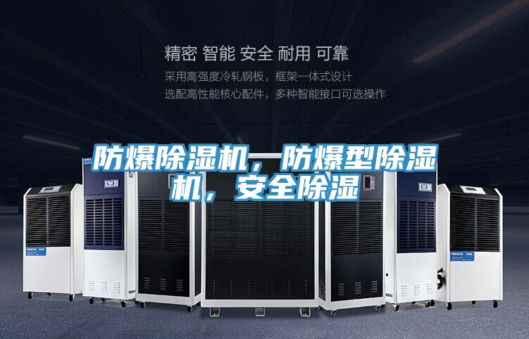 防爆除濕機(jī)，防爆型除濕機(jī)，安全除濕