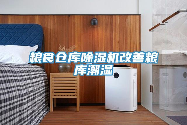 糧食倉(cāng)庫(kù)除濕機(jī)改善糧庫(kù)潮濕
