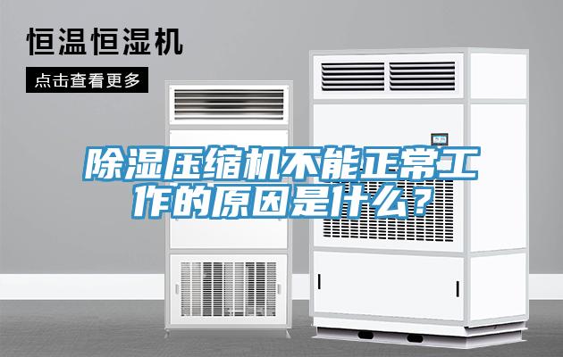 除濕壓縮機(jī)不能正常工作的原因是什么？