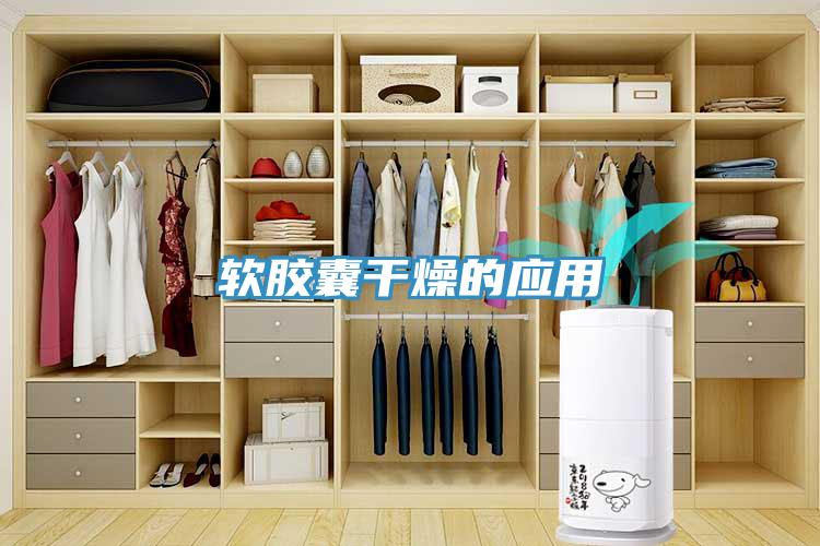 軟膠囊干燥的應(yīng)用
