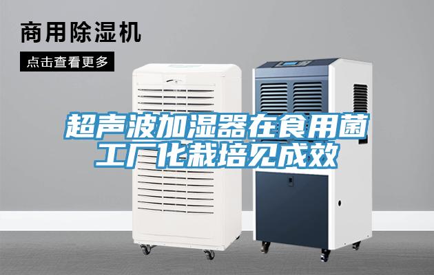 超聲波加濕器在食用菌工廠化栽培見(jiàn)成效