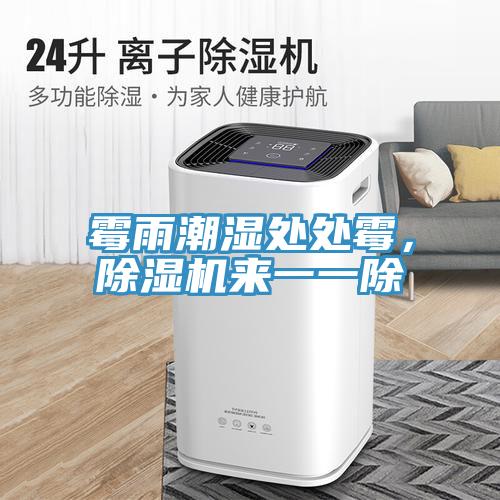 霉雨潮濕處處霉，除濕機來一一除