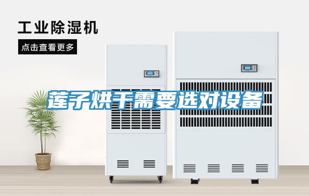 蓮子烘干需要選對(duì)設(shè)備