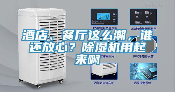 酒店、餐廳這么潮，誰還放心？除濕機(jī)用起來啊