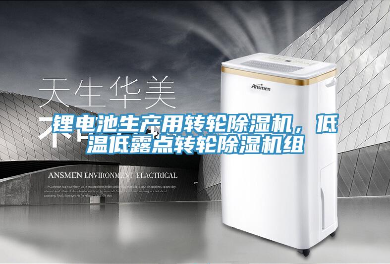 鋰電池生產(chǎn)用轉(zhuǎn)輪除濕機(jī)，低溫低露點轉(zhuǎn)輪除濕機(jī)組