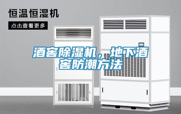 酒窖除濕機(jī)，地下酒窖防潮方法