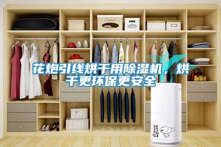 花炮引線烘干用除濕機(jī)，烘干更環(huán)保更安全