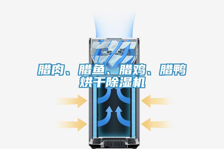 臘肉、臘魚、臘雞、臘鴨烘干除濕機(jī)