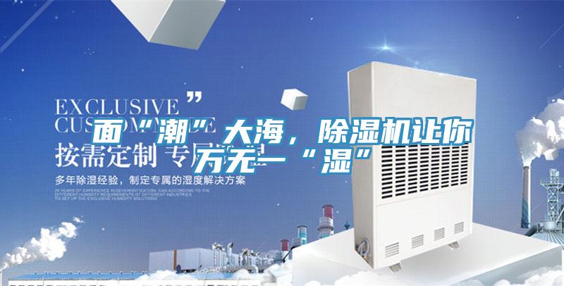 面“潮”大海，除濕機讓你萬無一“濕”