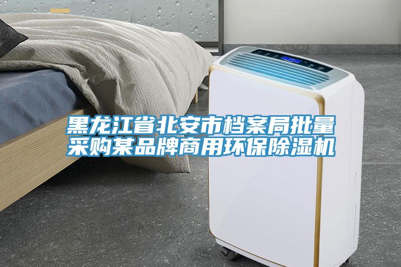 黑龍江省北安市檔案局批量采購(gòu)某品牌商用環(huán)保除濕機(jī)