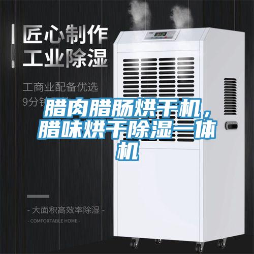 臘肉臘腸烘干機(jī)，臘味烘干除濕一體機(jī)