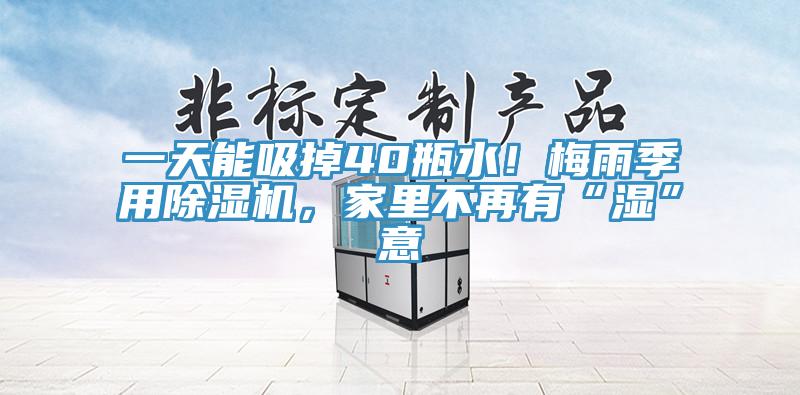 一天能吸掉40瓶水！梅雨季用除濕機(jī)，家里不再有“濕”意