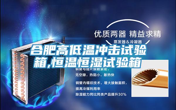合肥高低溫沖擊試驗(yàn)箱,恒溫恒濕試驗(yàn)箱
