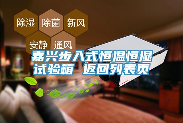 嘉興步入式恒溫恒濕試驗(yàn)箱 返回列表頁
