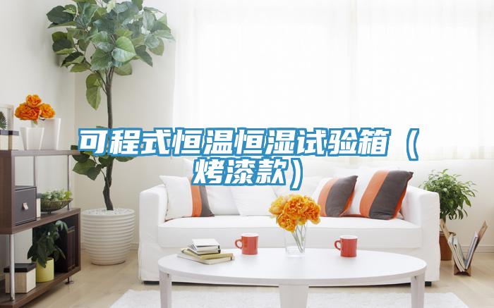可程式恒溫恒濕試驗(yàn)箱（烤漆款）