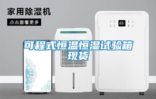 可程式恒溫恒濕試驗(yàn)箱現(xiàn)貨