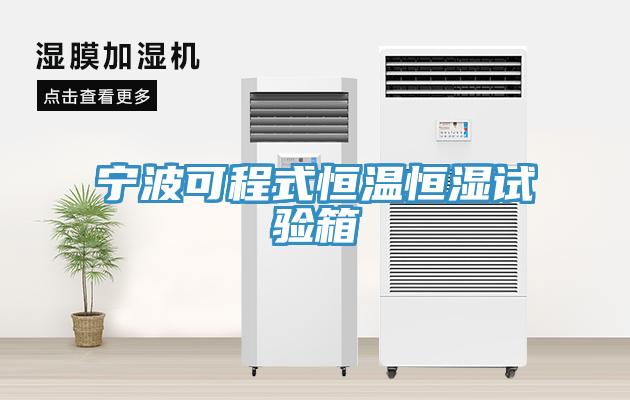 寧波可程式恒溫恒濕試驗(yàn)箱
