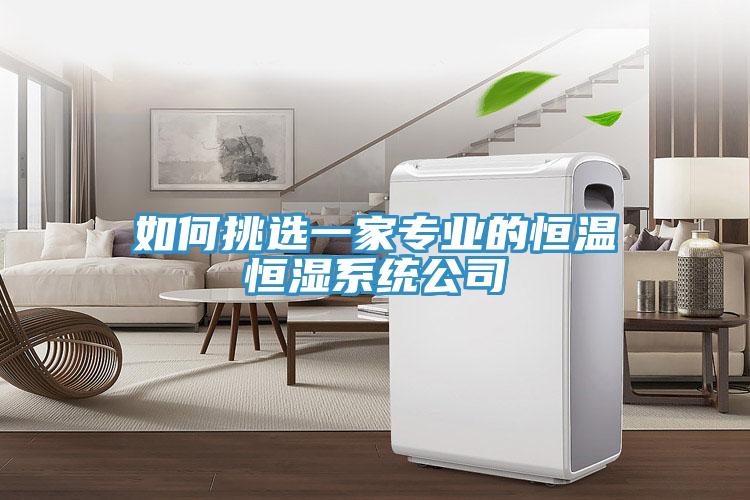 如何挑選一家專業(yè)的恒溫恒濕系統(tǒng)公司
