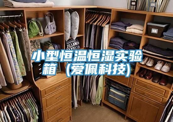 小型恒溫恒濕實(shí)驗(yàn)箱 (愛(ài)佩科技)
