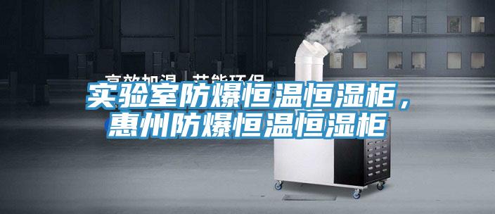 實(shí)驗(yàn)室防爆恒溫恒濕柜，惠州防爆恒溫恒濕柜