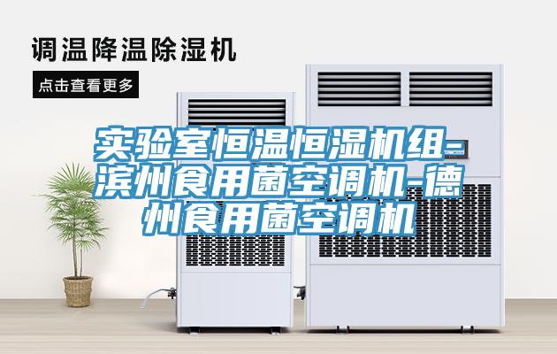 實(shí)驗(yàn)室恒溫恒濕機(jī)組-濱州食用菌空調(diào)機(jī)-德州食用菌空調(diào)機(jī)