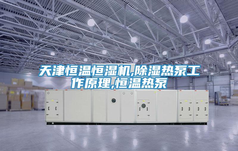 天津恒溫恒濕機(jī),除濕熱泵工作原理,恒溫?zé)岜?></div>
								<div   id=
