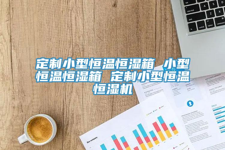 定制小型恒溫恒濕箱 小型恒溫恒濕箱 定制小型恒溫恒濕機