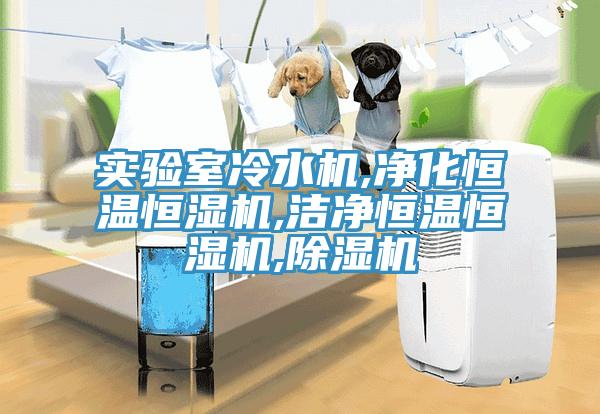 實(shí)驗(yàn)室冷水機(jī),凈化恒溫恒濕機(jī),潔凈恒溫恒濕機(jī),除濕機(jī)