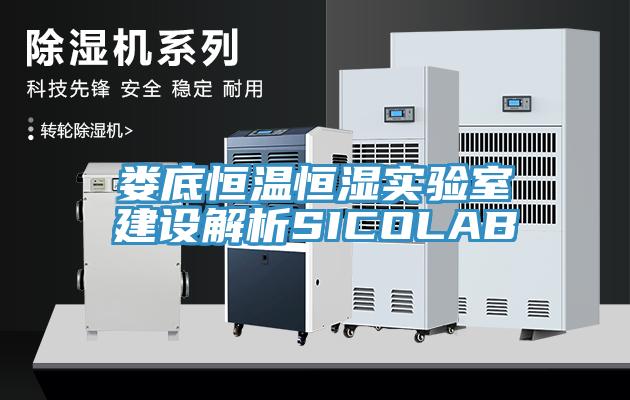 婁底恒溫恒濕實(shí)驗(yàn)室建設(shè)解析SICOLAB