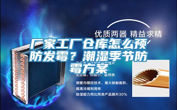 廠家工廠倉庫怎么預(yù)防發(fā)霉？潮濕季節(jié)防霉方案