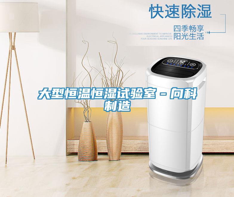 大型恒溫恒濕試驗(yàn)室－向科制造