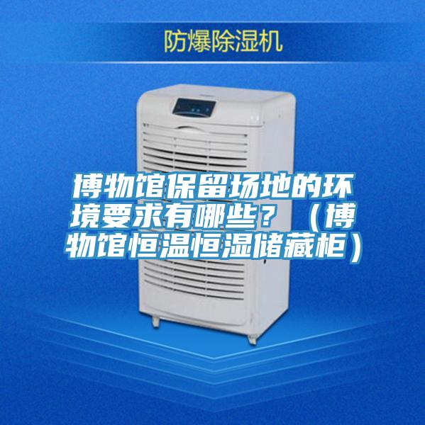 博物館保留場地的環(huán)境要求有哪些？（博物館恒溫恒濕儲藏柜）