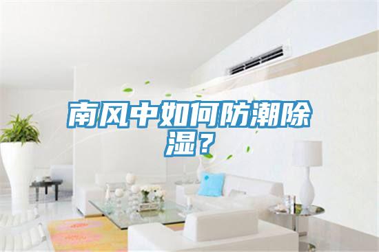 南風(fēng)中如何防潮除濕？