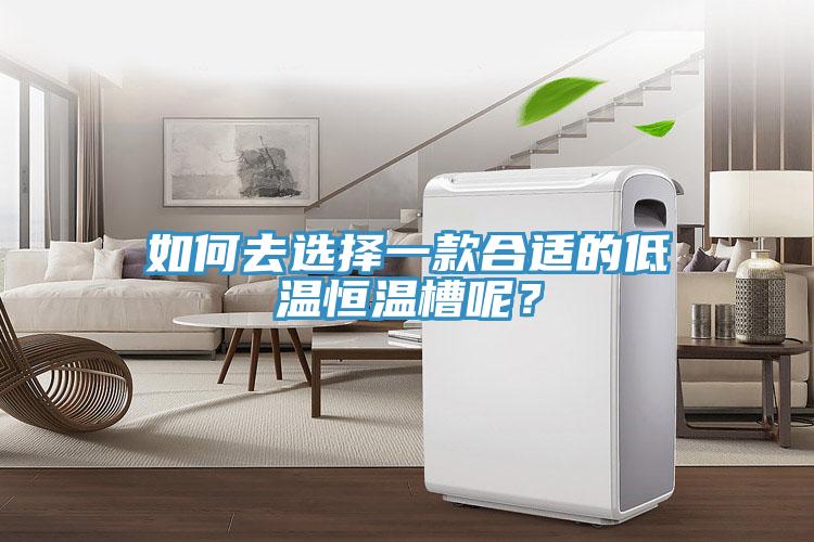 如何去選擇一款合適的低溫恒溫槽呢？