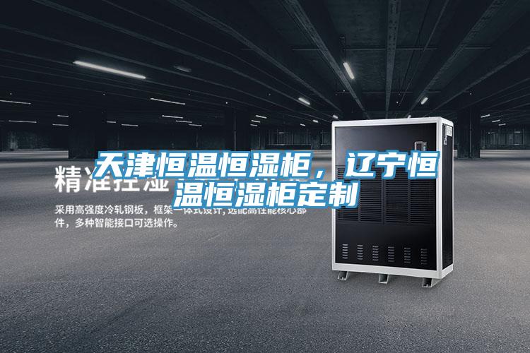 天津恒溫恒濕柜，遼寧恒溫恒濕柜定制