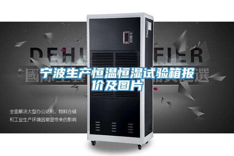 寧波生產(chǎn)恒溫恒濕試驗(yàn)箱報(bào)價(jià)及圖片